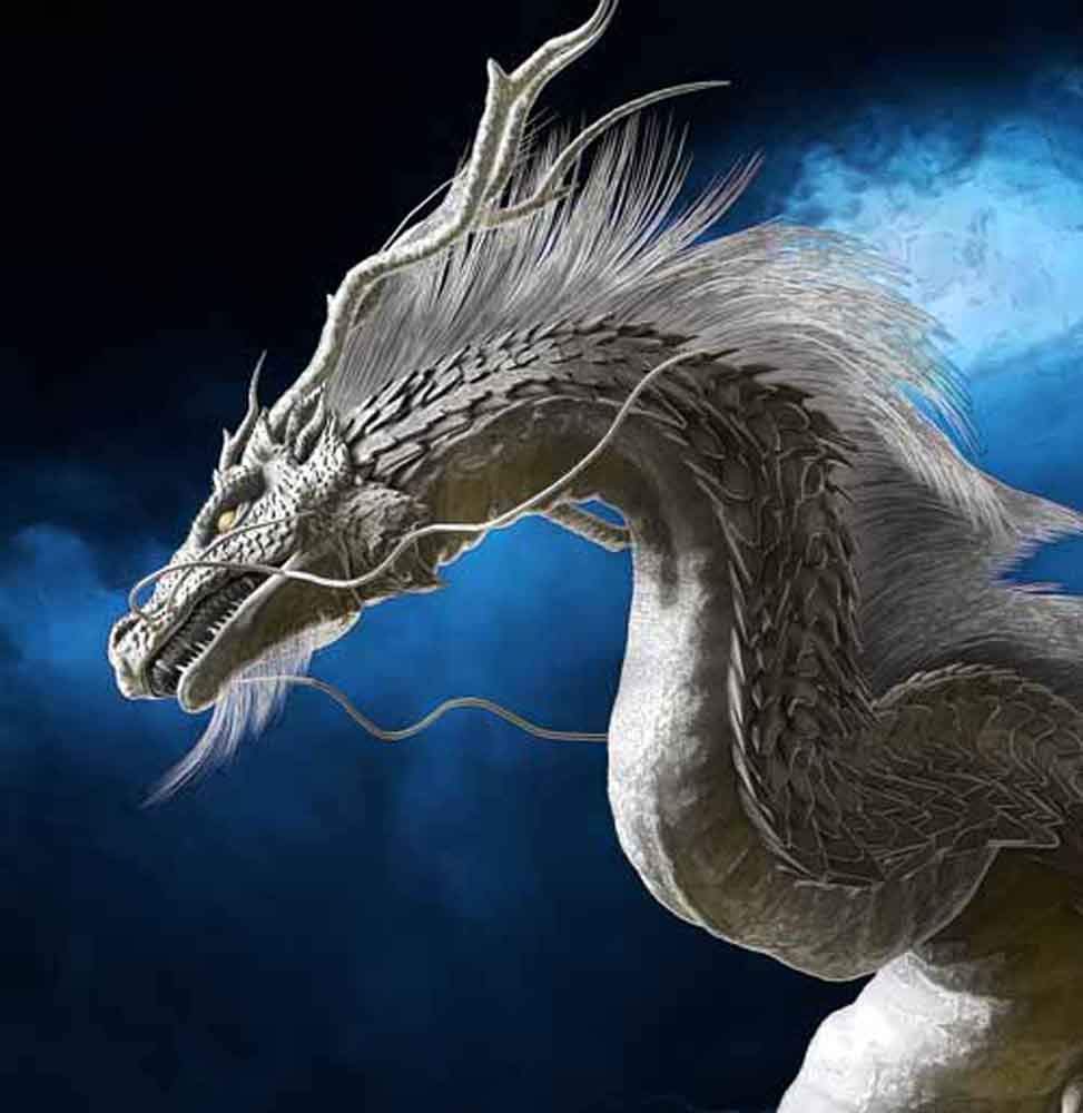 Amazon.co.jp: 龍の絵 「稲妻と白龍1」 A4 竜の絵 : ホーム